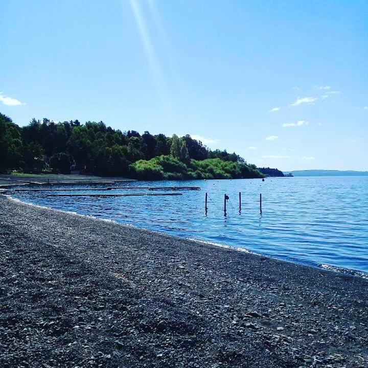 Bosque Del Lago 푸콘 외부 사진
